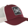 Gorra CLARKII